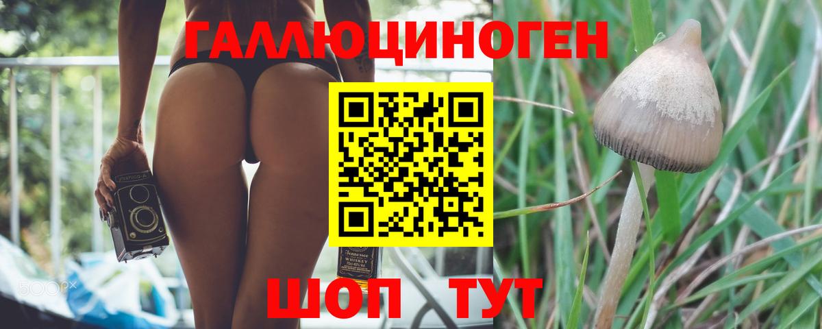 Галлюциногенные грибы Magic Shrooms  Вход с VPN  Галлюциногенные грибы Magic Shrooms  Осинники 